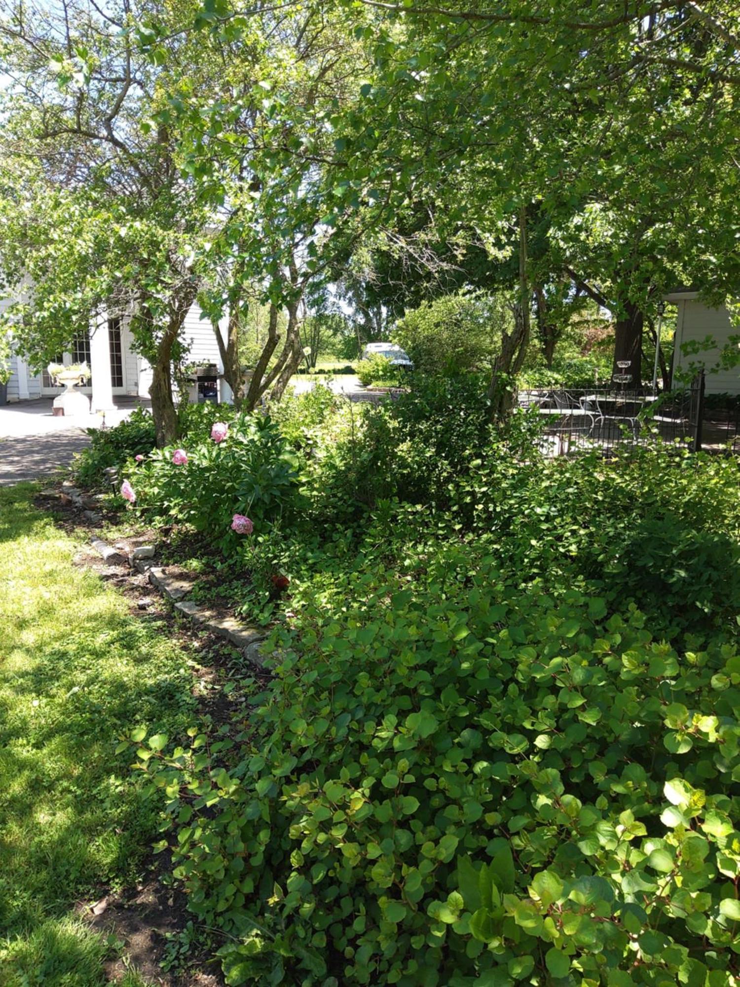 Inntiquity, A Country Inn Logansport Buitenkant foto